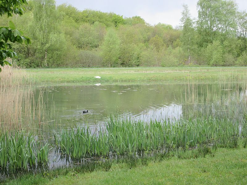 Huizen, Stadspark