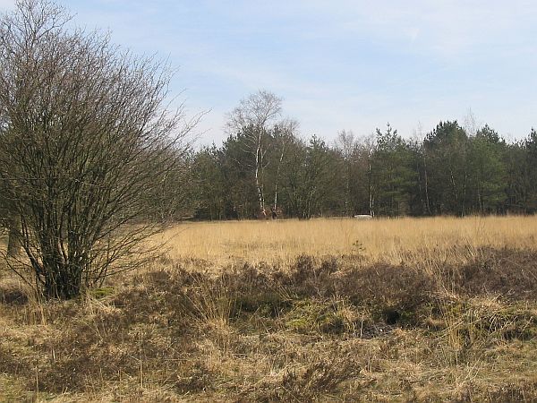 Bussummerheide