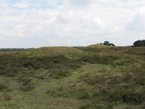 Westerheide, grafheuvels