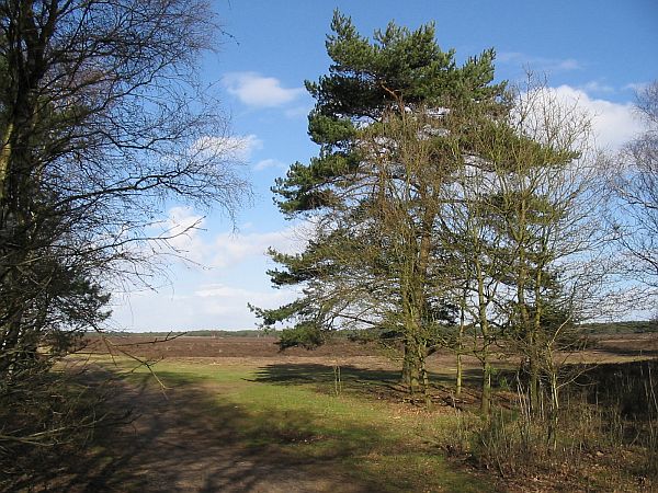 Westerheide