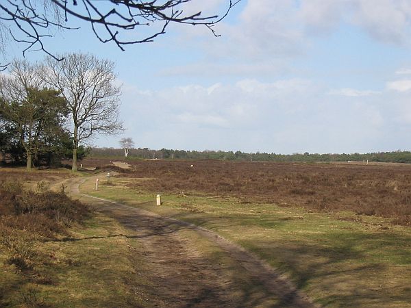 Westerheide