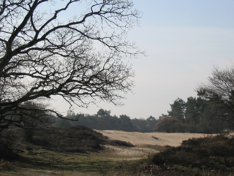 Zuiderheide