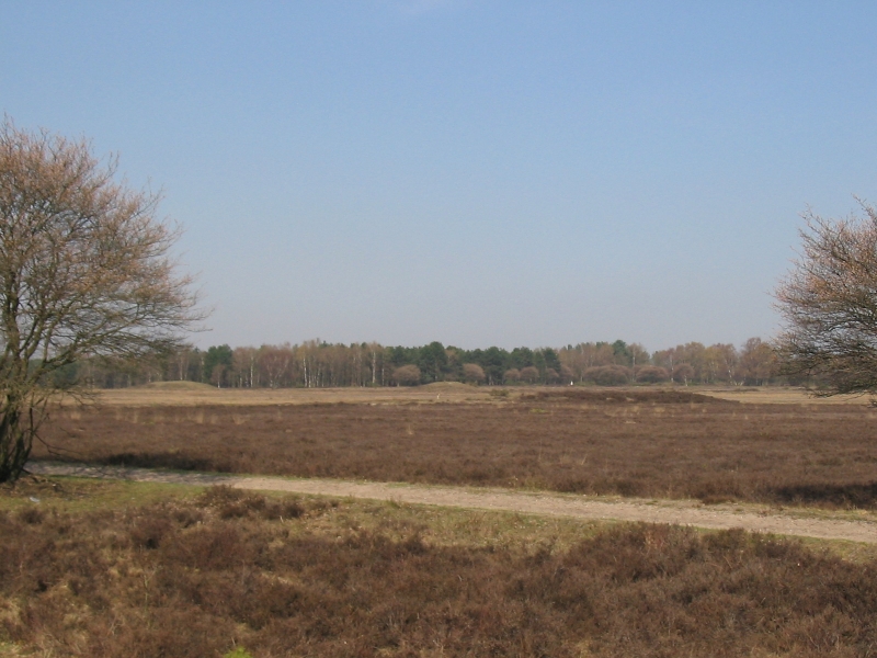 Zuiderheide